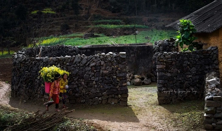 Nhà trình tường của người Mông được bao quanh bởi những hàng rào đá.