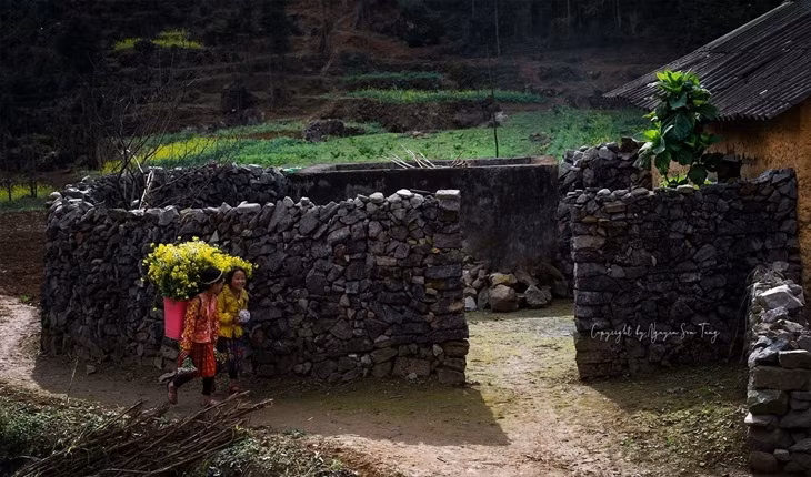 Nhà trình tường của người Mông được bao quanh bởi những hàng rào đá.