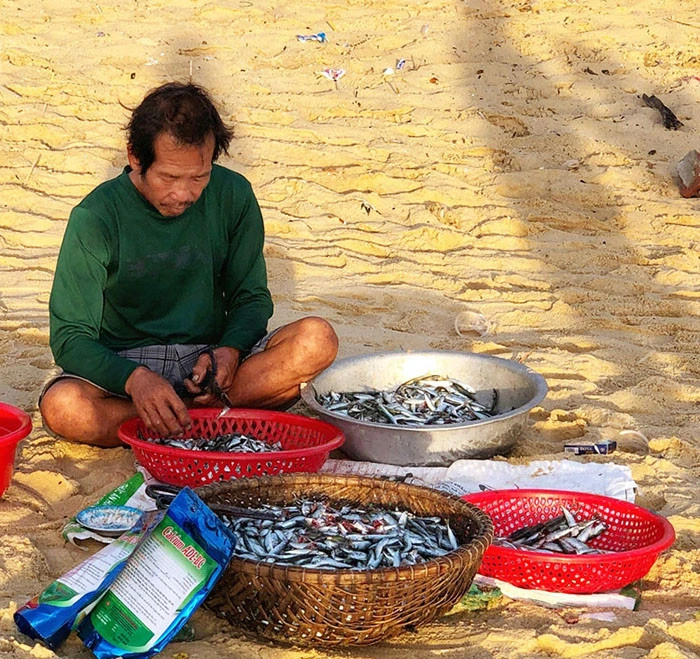 Vẻ đẹp hoang sơ làng chài An Hải ảnh 2