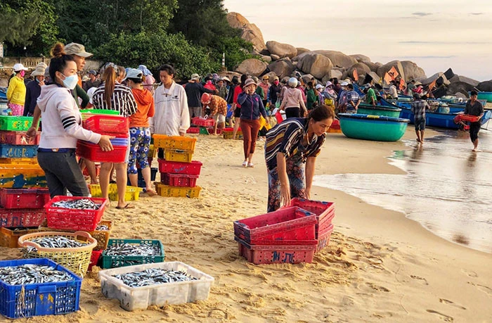 Vẻ đẹp hoang sơ làng chài An Hải ảnh 5