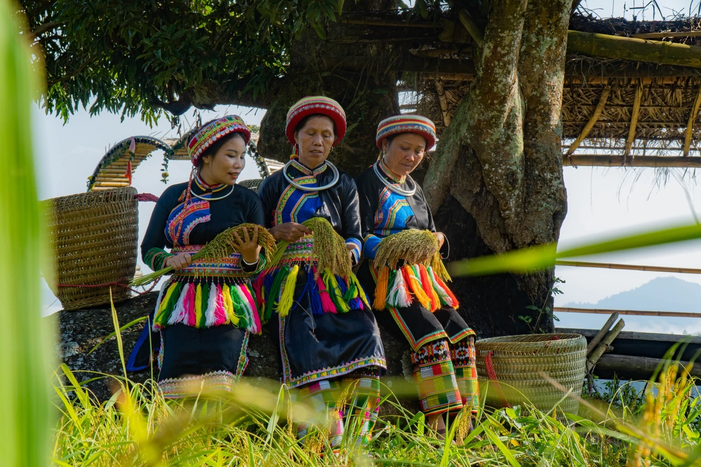 Thưởng thức những món ngon được làm từ gạo Nếp Tài cùng bà con.