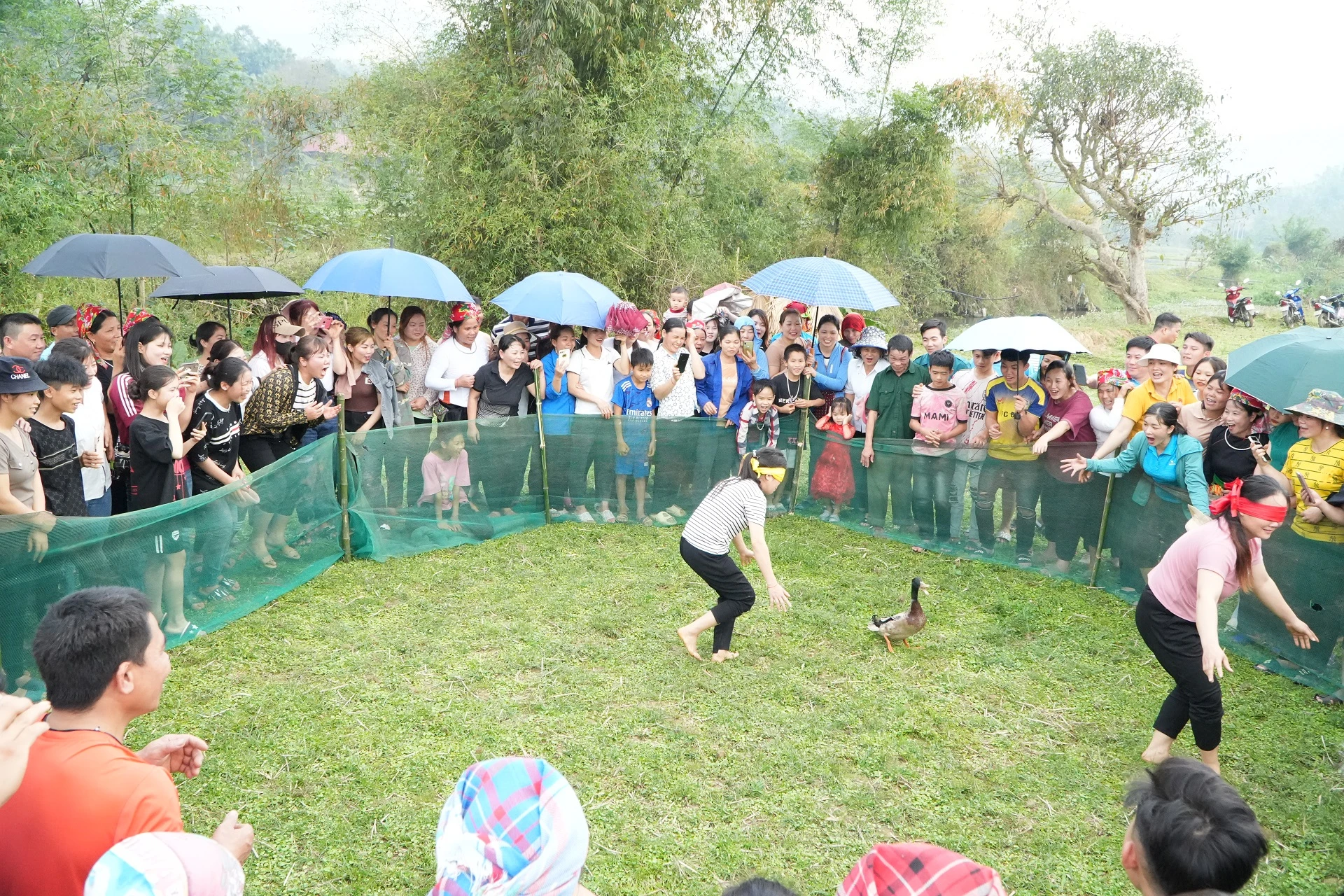 Chò trơi bịt mắt bắt vịt.JPG