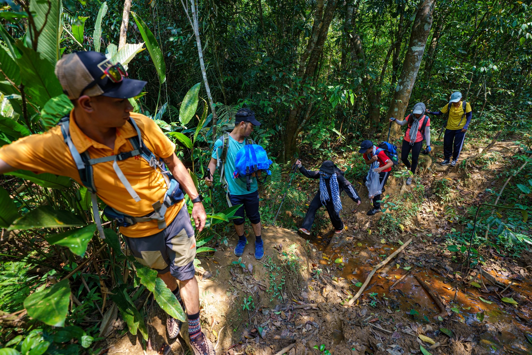 Thác nước đẹp ngoạn mục giữa đại ngàn Gia Lai ảnh 12