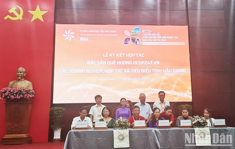 Các doanh nghiệp, HTX tiêu biểu của Hậu Giang ký kết hợp tác với Đặc sản quê hương OCOP247.VN