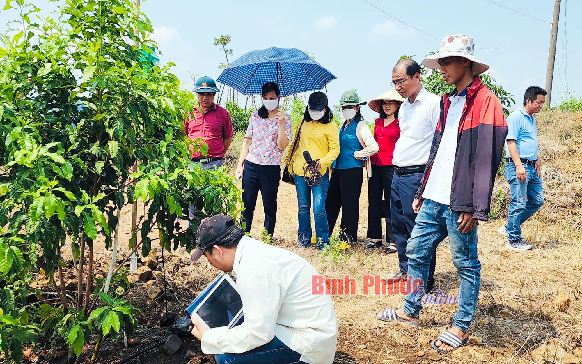 Lợi thế từ chuyển đổi số nông nghiệp ảnh 4