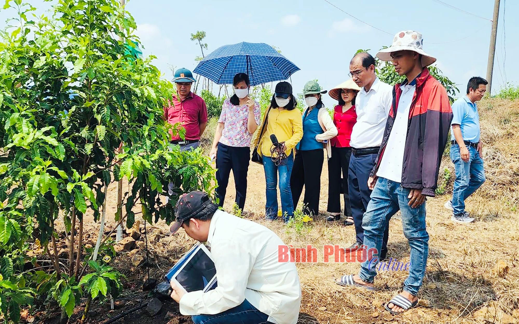 Lợi thế từ chuyển đổi số nông nghiệp ảnh 4