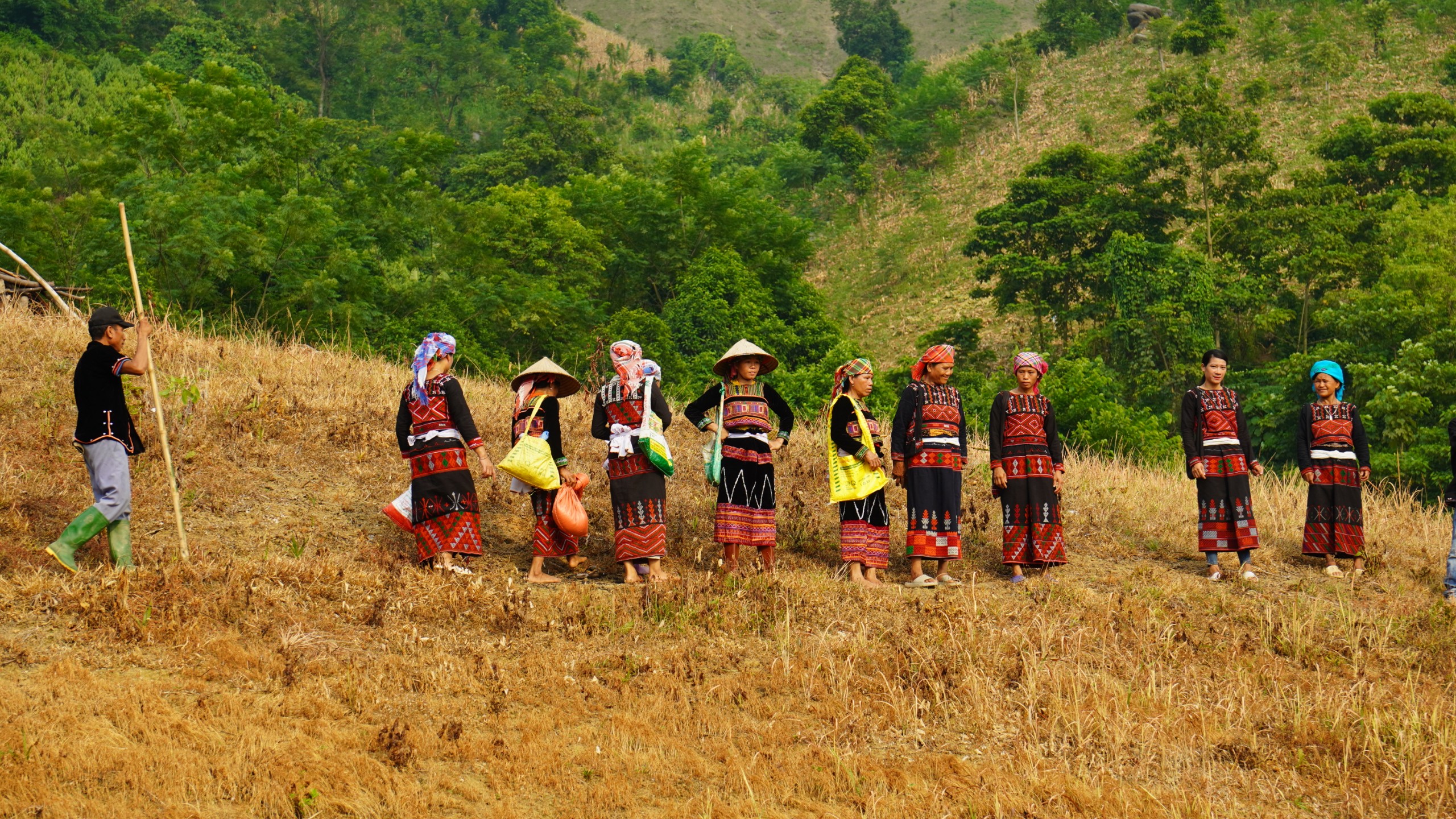 Nghi lễ tra lúa nương là một trong những hoạt động bảo tồn Tết cơm mới truyền thống của dân tộc Xá Phó. IMG_20230709_070804 (1).jpg