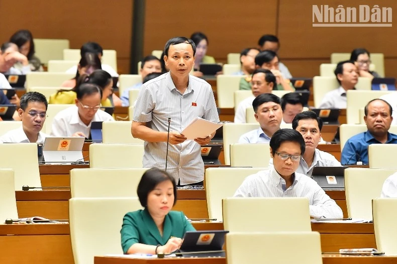 Đại biểu Hoàng Hữu Chiến (An Giang) phát biểu.