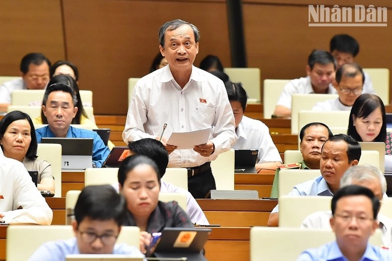 Đại biểu Nguyễn Thanh Phương (Cần Thơ) phát biểu.