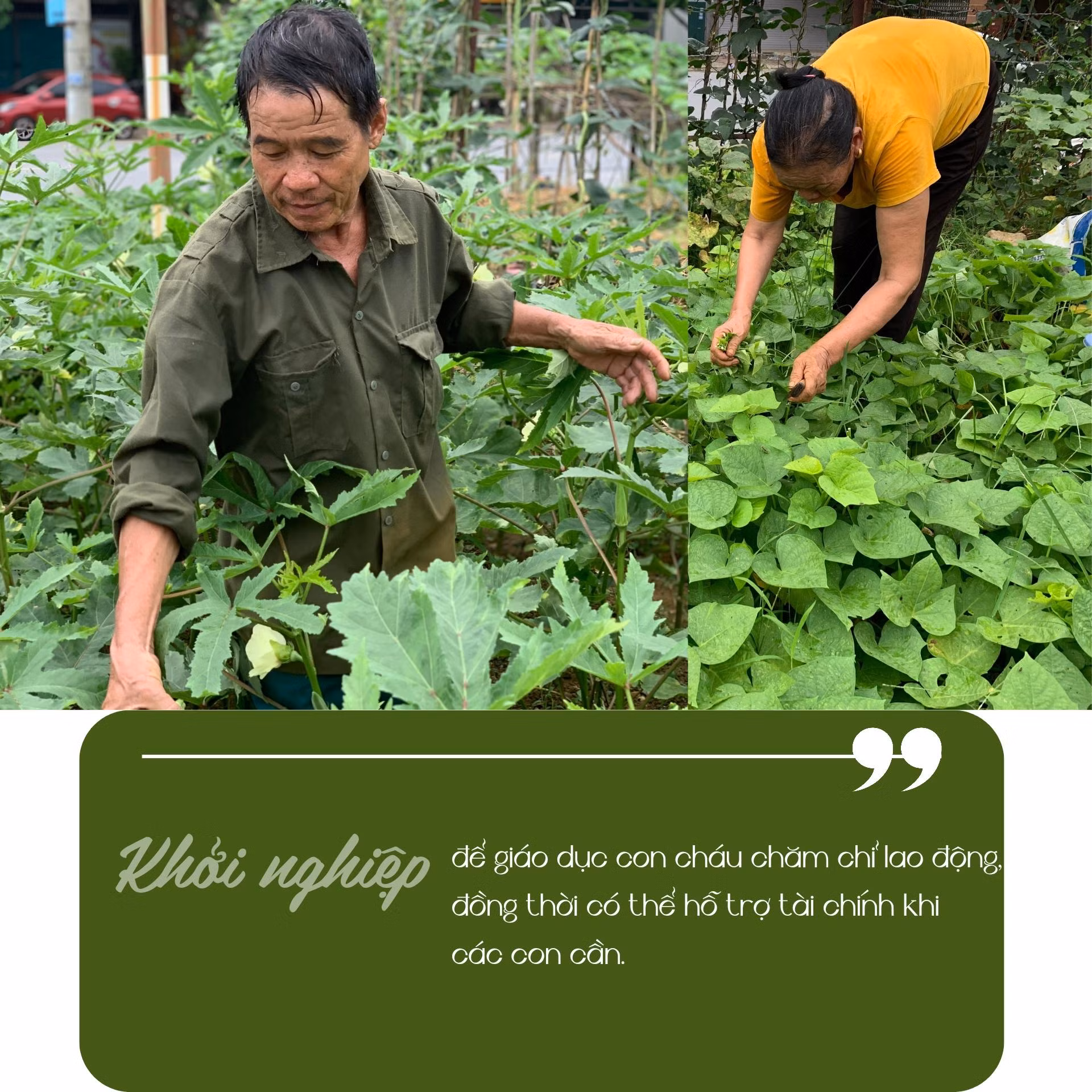 Tiêu đề_20240730_231012_0001.jpg