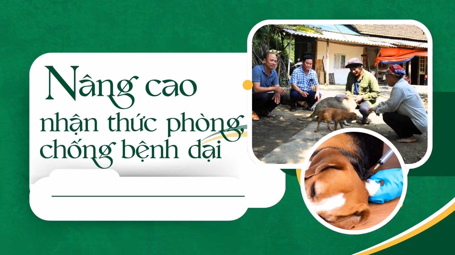 Nâng cao nhận thức phòng, chống bệnh dại