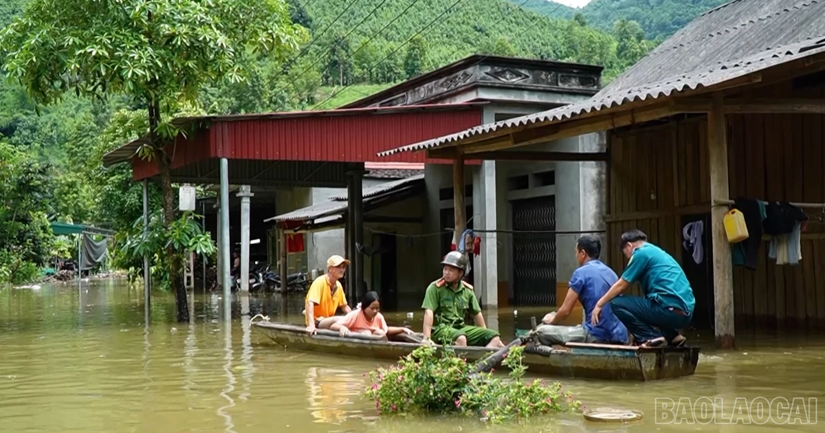 baolaocai.vn