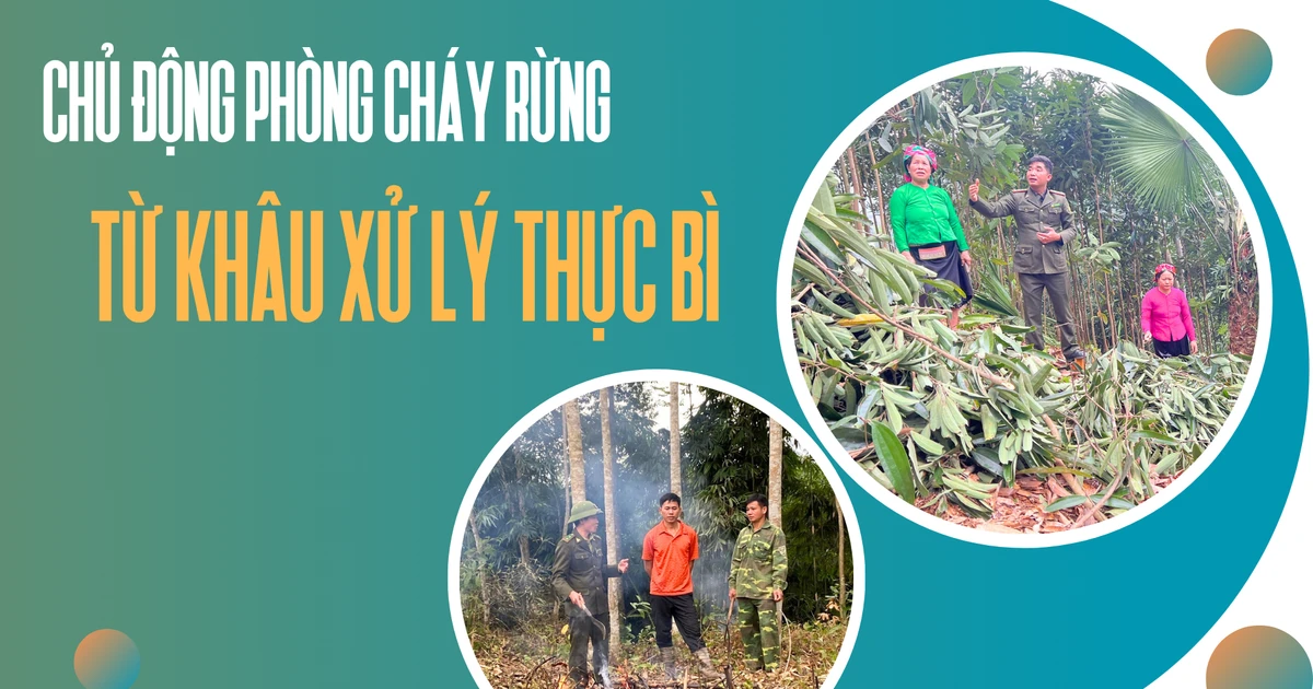 Chủ động phòng cháy rừng từ khâu xử lý thực bì