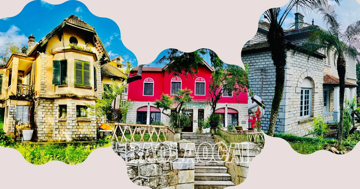 Khám Phá Sự Thú Vị Trong Kèo Nhà Cái Avinaa - Cánh Cửa Dẫn Đến Thành Công Trong Cá Cược