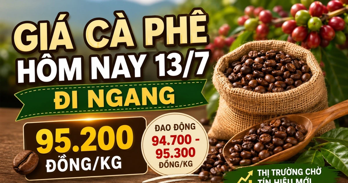 Giá cà phê hôm nay 13/7: Robusta và Arabica cùng đứng giá