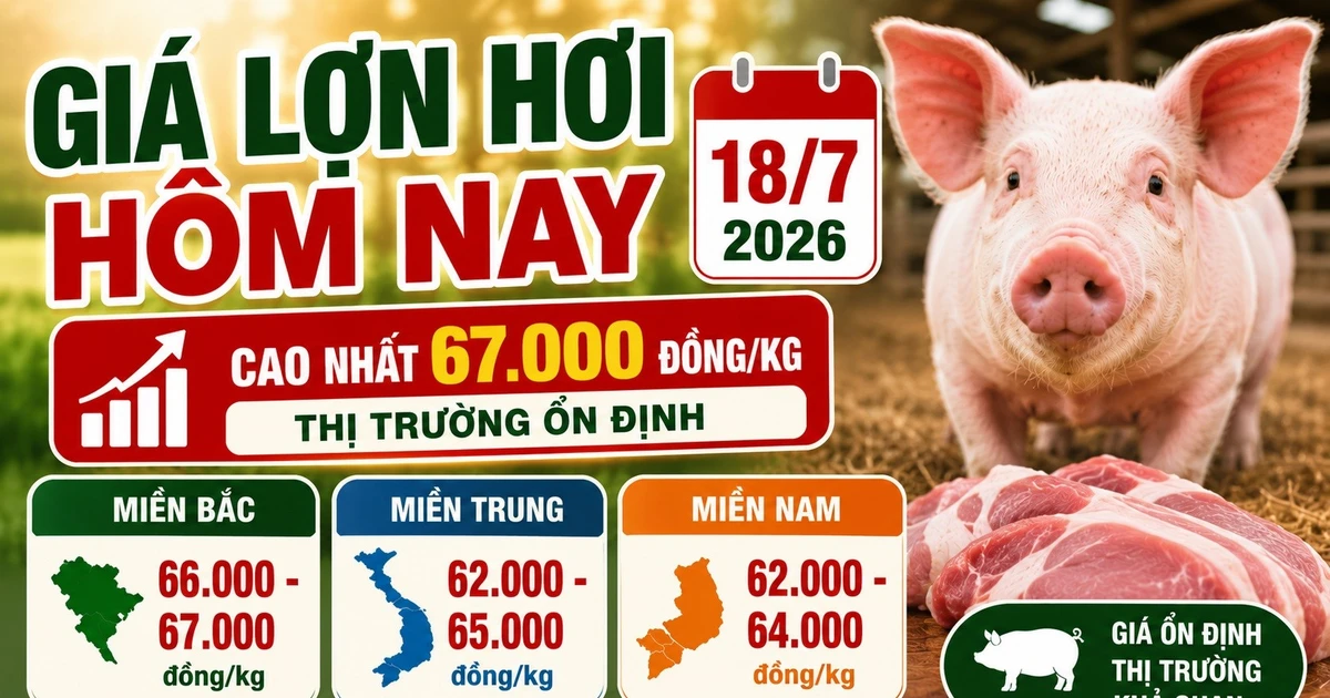 Giá lợn hơi hôm nay 18/7: Thị trường cả nước tạm chững