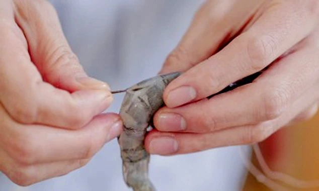 Có nên ăn đường chỉ đen trên lưng con tôm? | Báo Lào Cai điện tử