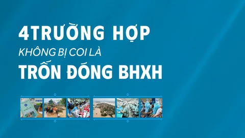 4 trường hợp không bị coi là trốn đóng bảo hiểm xã hội (BHXH)