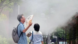 Thế giới phải học cách 'chung sống' với nắng nóng