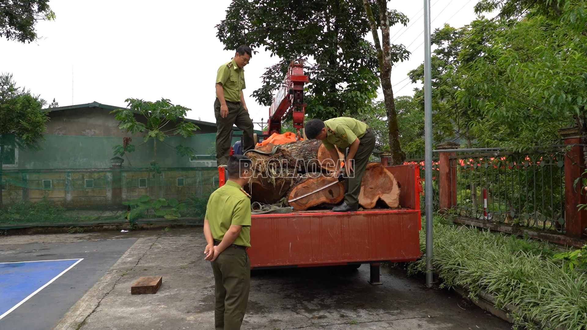 baolaocai-c_anh-11-tang-vat-thu-giu-tren-duong-van-chuyen-duoc-luc-luon-dua-ve-tram-kiem-lam-dia-ba-khu-vuc-xa-si-ma-cai.png
