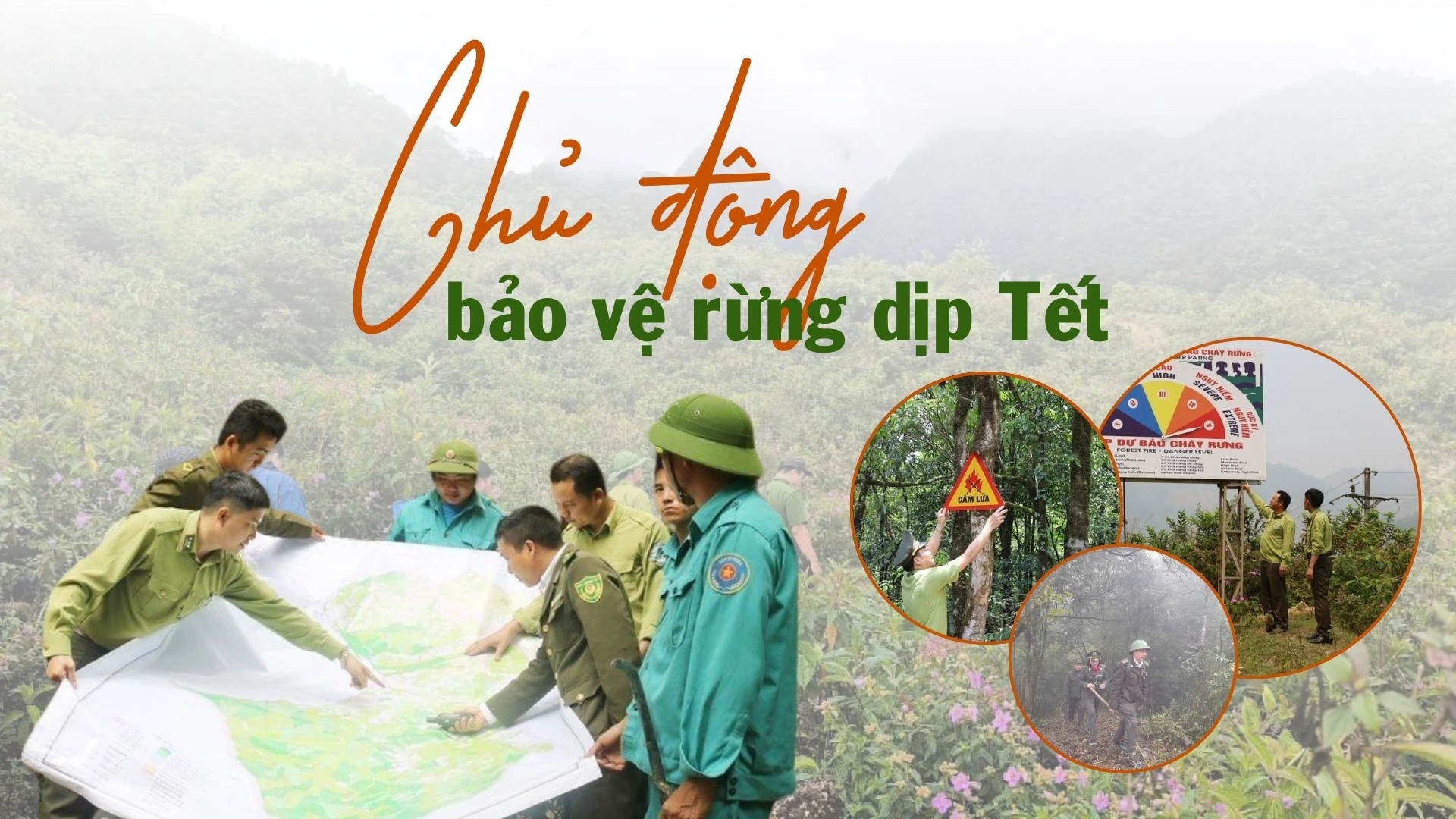 Chủ động bảo vệ rừng dịp Tết