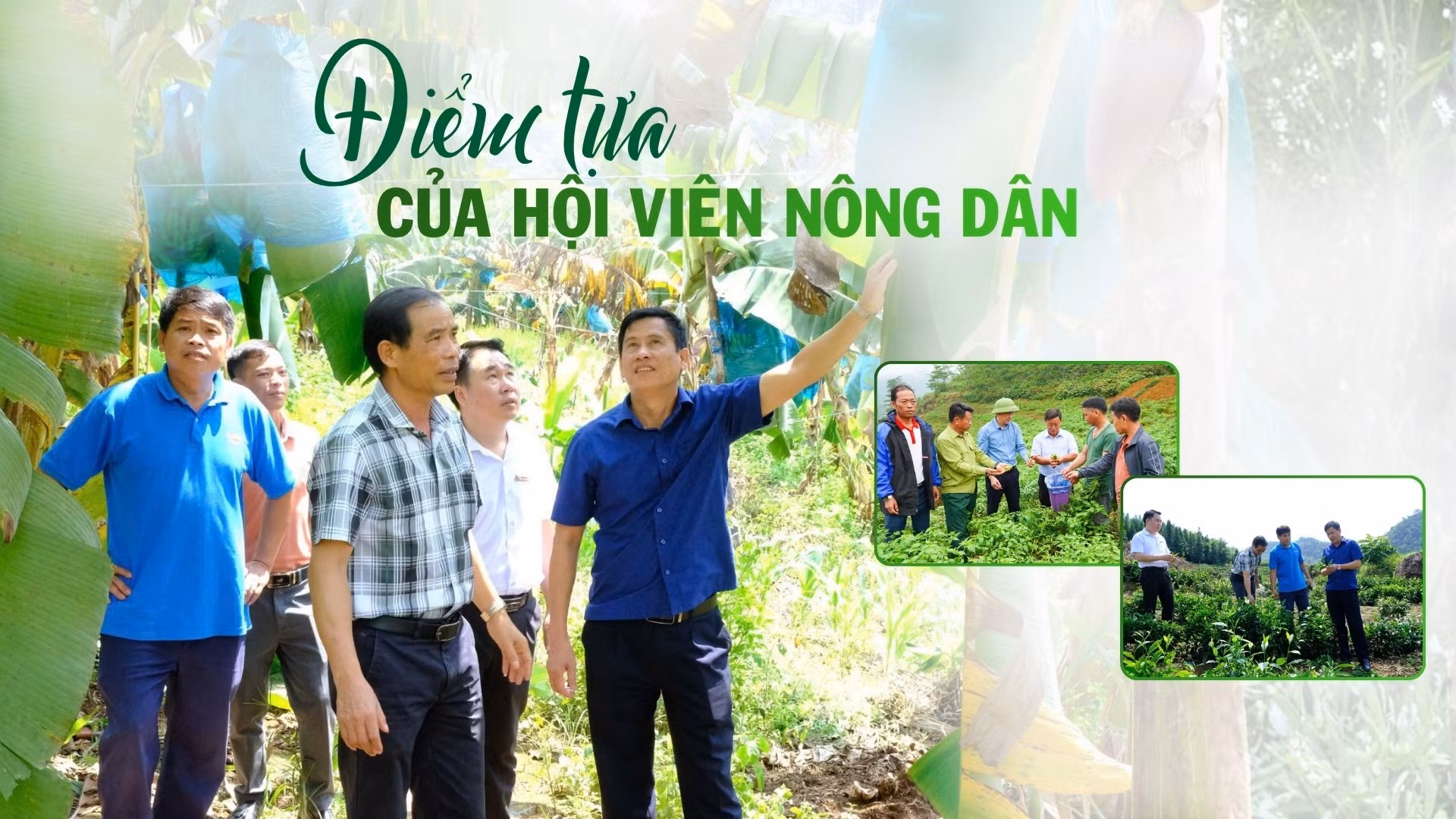 Điểm tựa của hội viên nông dân