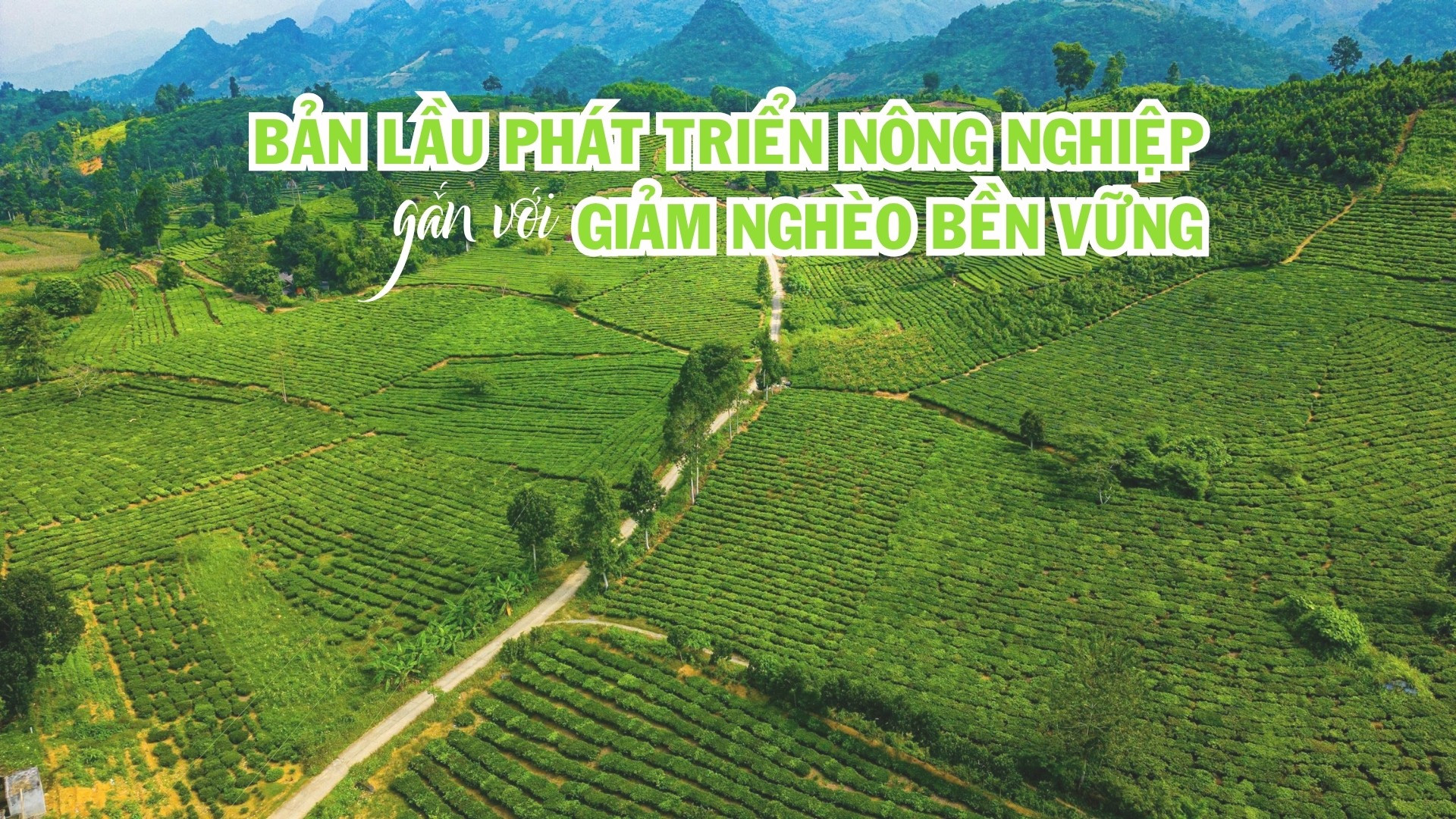 Bản Lầu phát triển nông nghiệp gắn với giảm nghèo bền vững