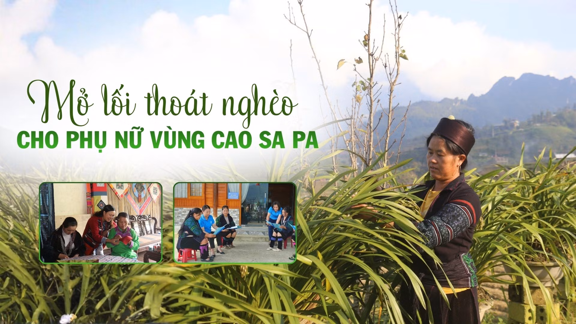 Mở lối thoát nghèo cho phụ nữ vùng cao Sa Pa