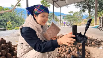 Đặc sản vùng cao “lên sàn” đón Tết