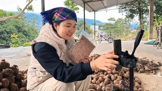 Đặc sản vùng cao “lên sàn” đón Tết