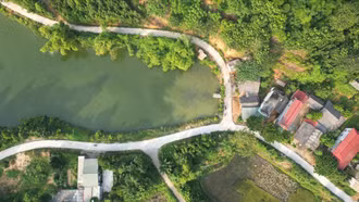 Bảo Hà đẩy mạnh nuôi cá thương phẩm, hướng tới liên kết bền vững 