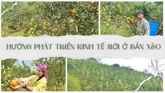 Hướng phát triển kinh tế mới ở Bản Xèo