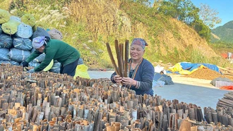 Gần 1.200 hội viên phụ nữ xã Bảo Hà tiếp cận nguồn vốn tín dụng hỗ trợ phát triển kinh tế