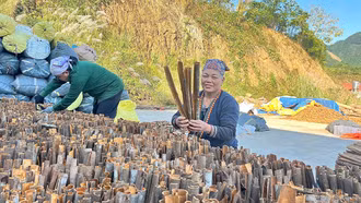 Gần 1.200 hội viên phụ nữ xã Bảo Hà tiếp cận nguồn vốn tín dụng hỗ trợ phát triển kinh tế