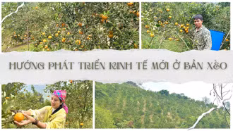 Hướng phát triển kinh tế mới ở Bản Xèo