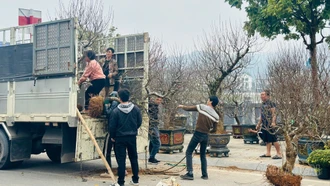 Những dịch vụ đắt khách ngày cận Tết