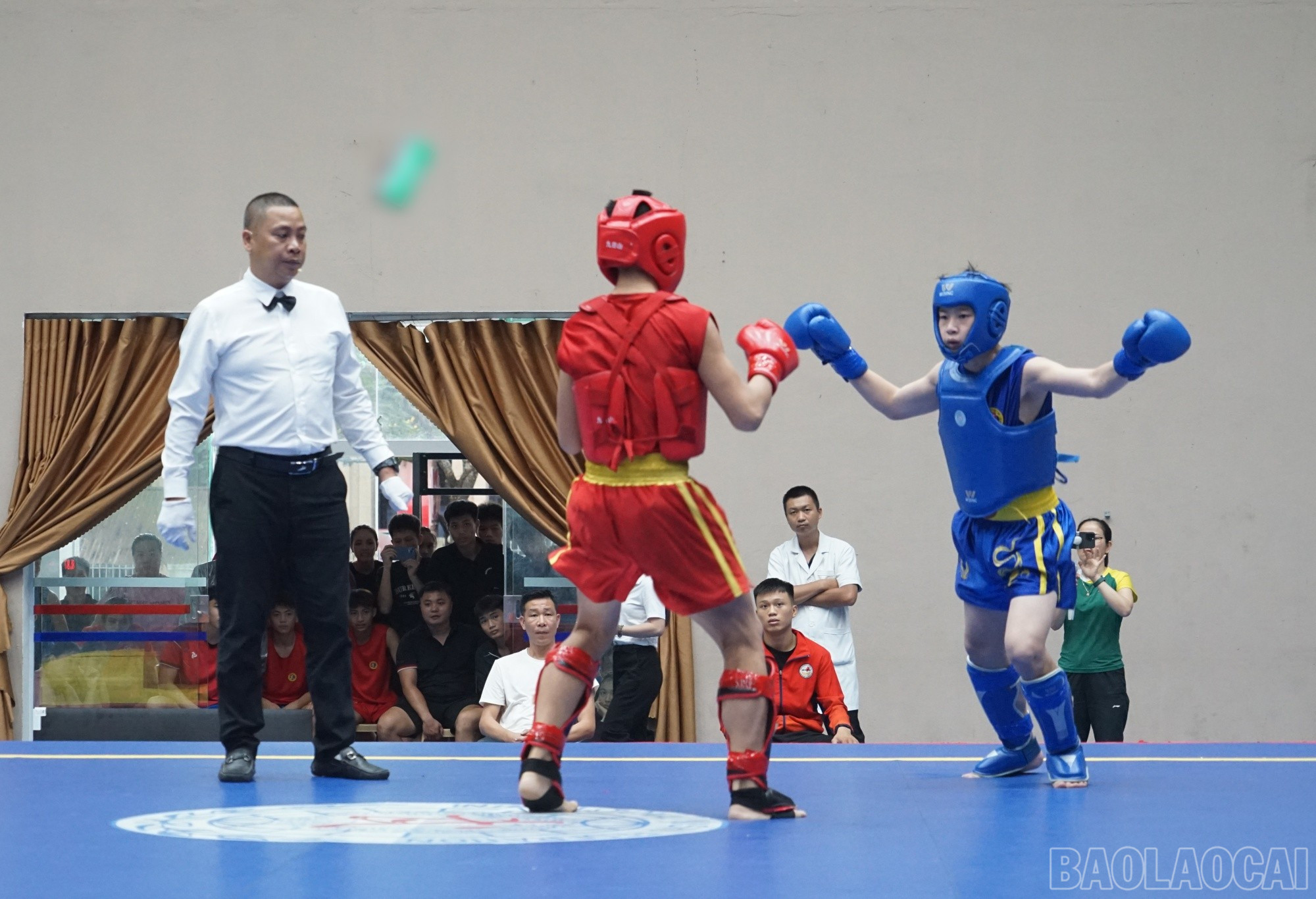 baolaocai-br_shu4.jpg