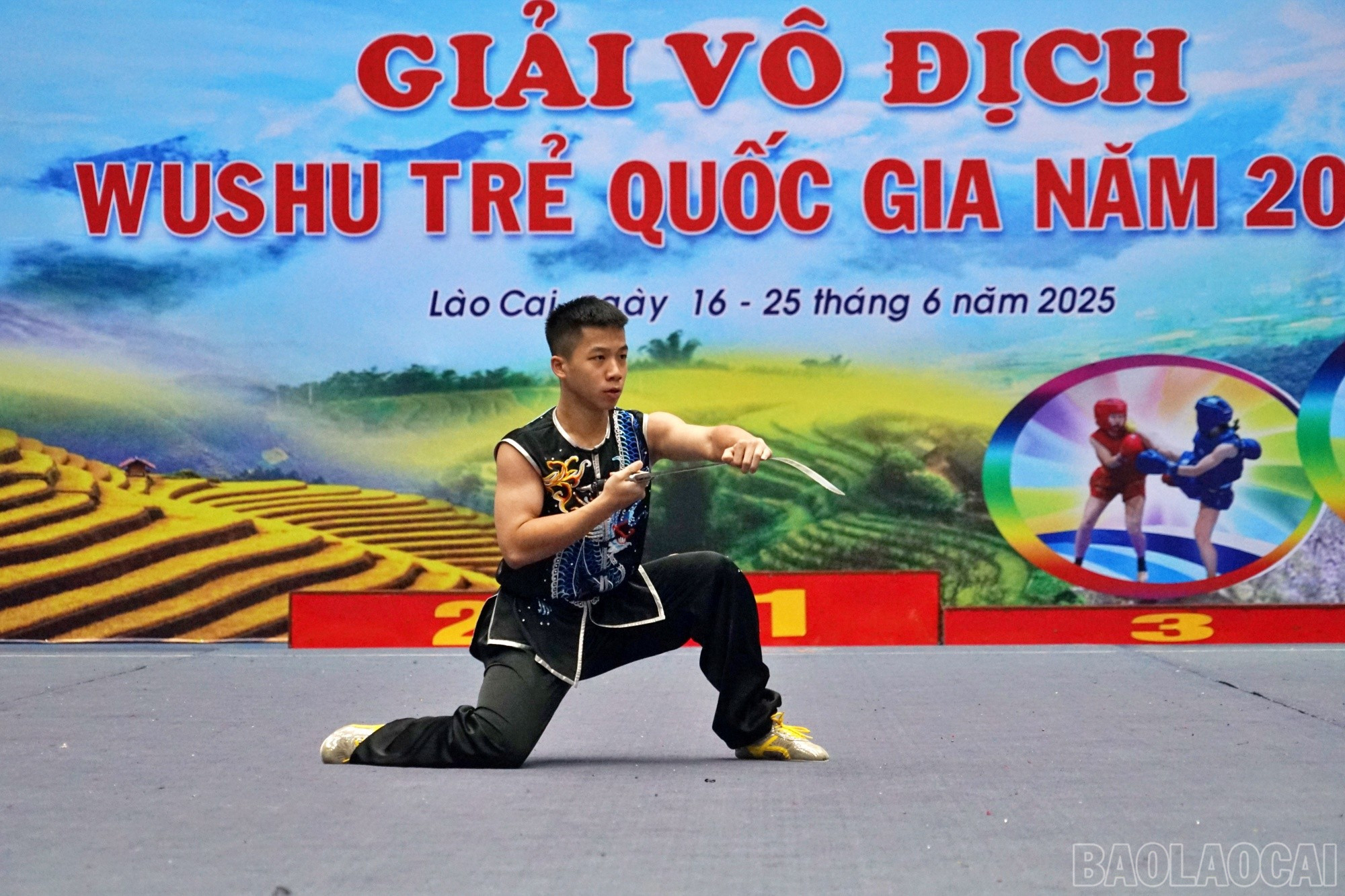baolaocai-br_ng61.jpg