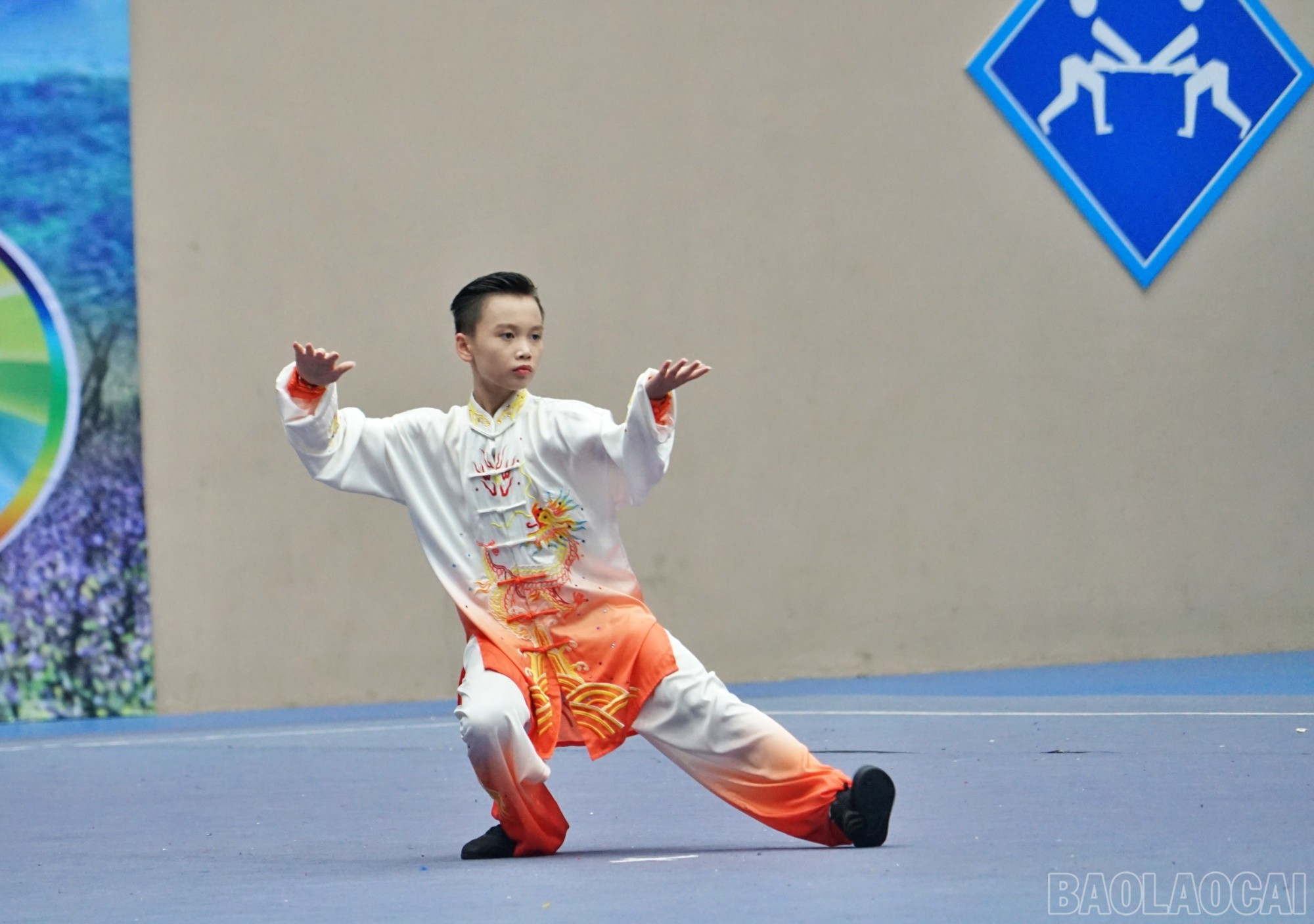 baolaocai-br_shu8.jpg