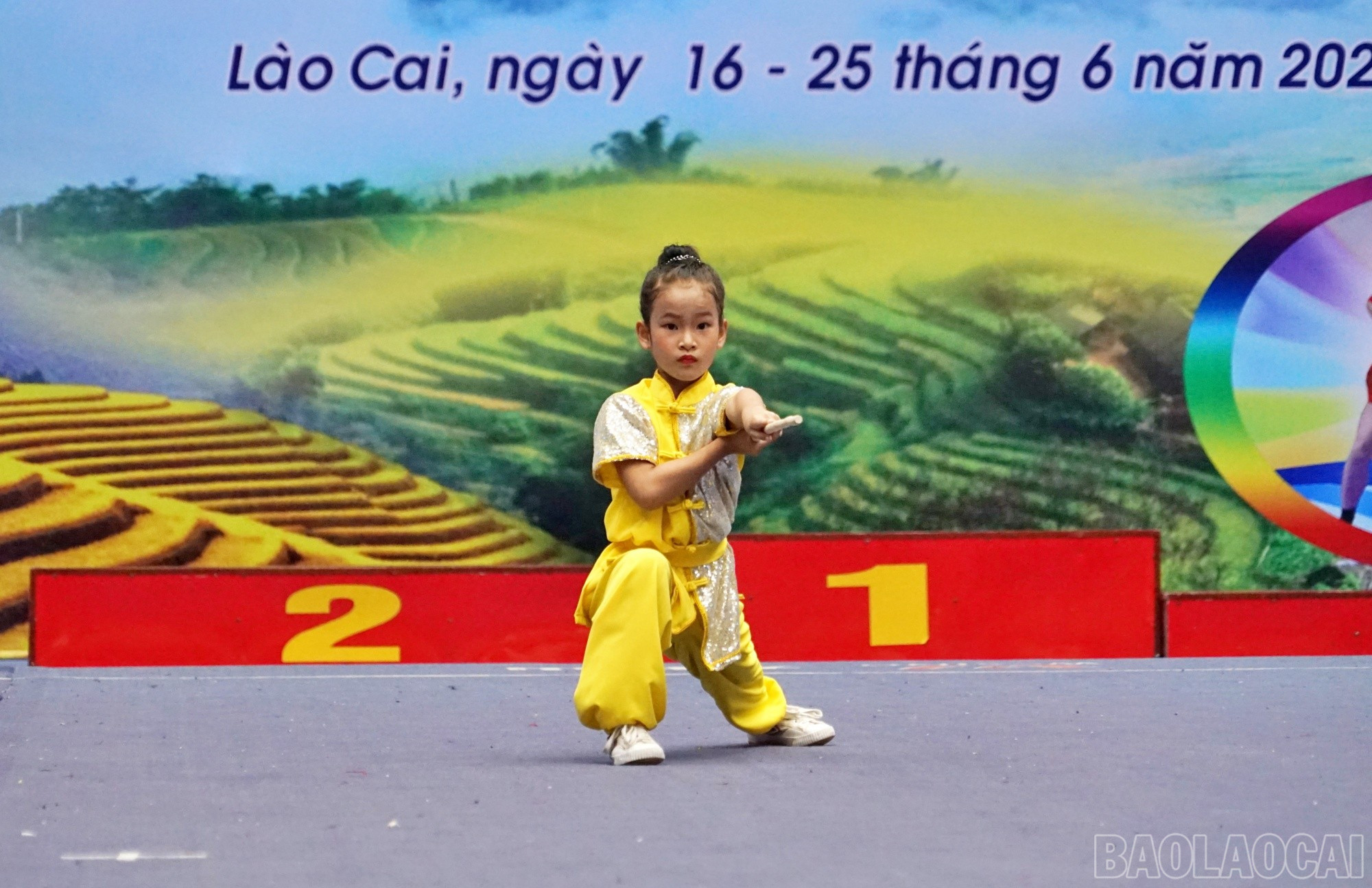 baolaocai-br_shu90.jpg