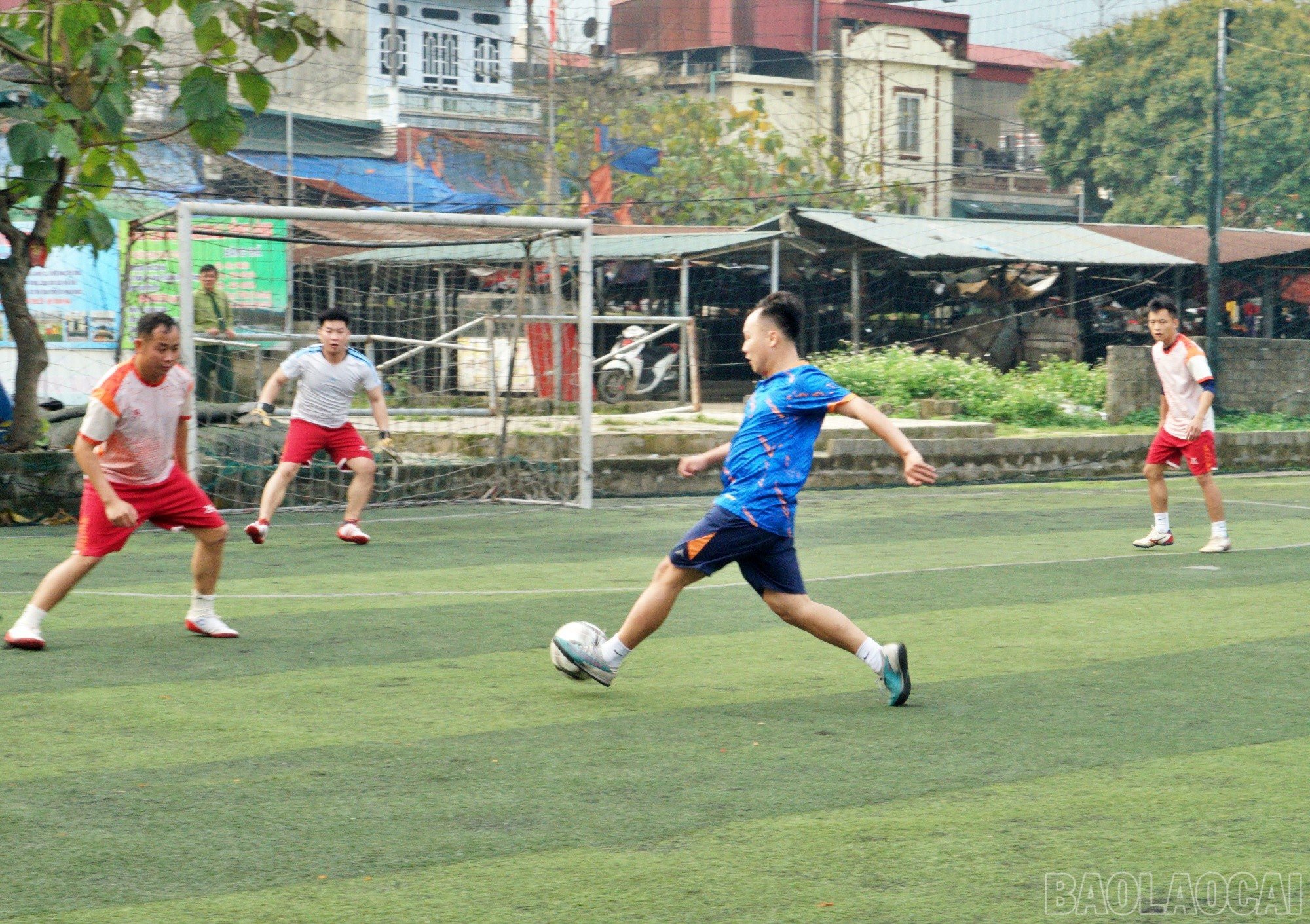 baolaocai-br_14bd4.jpg