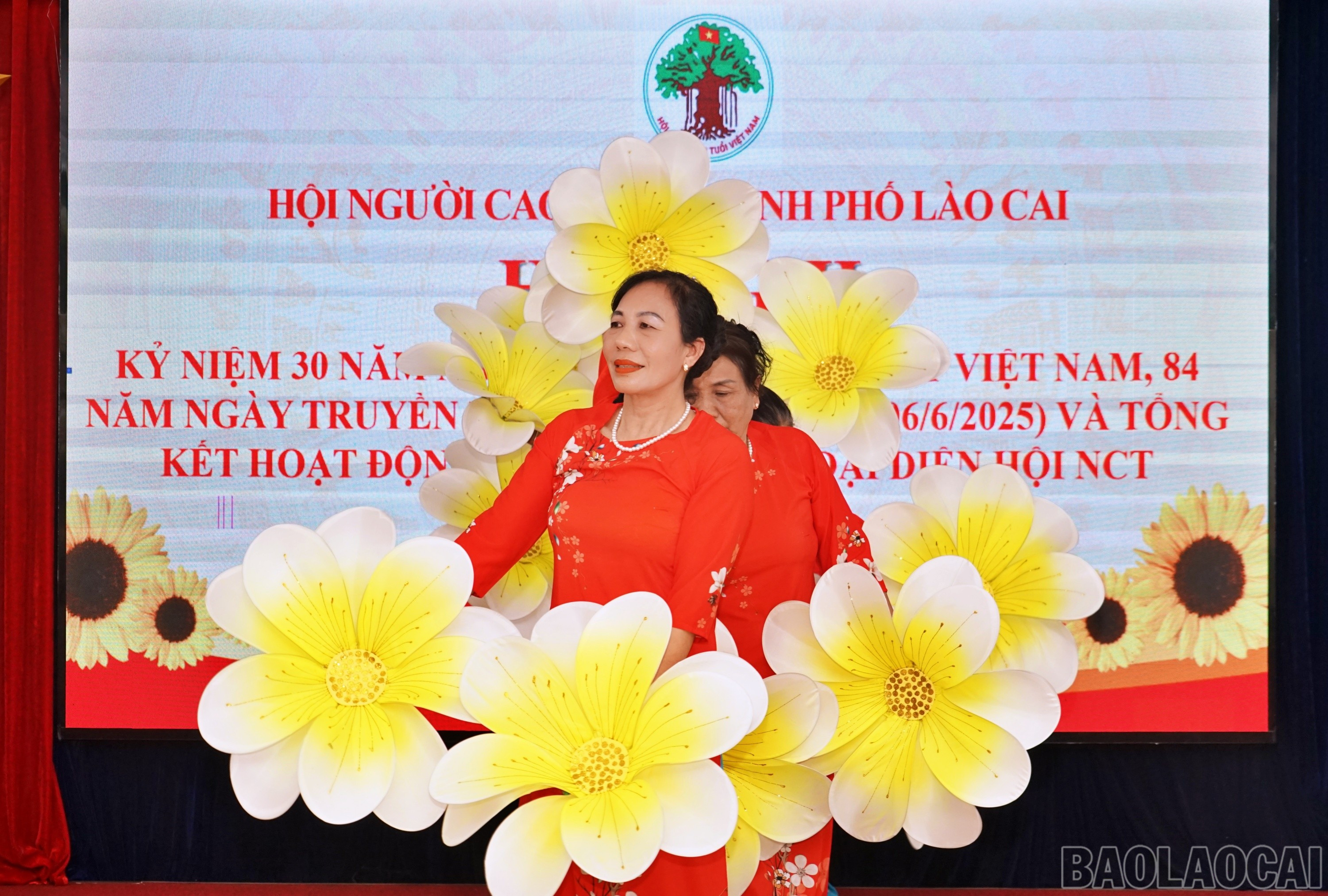 baolaocai-br_nct93.jpg