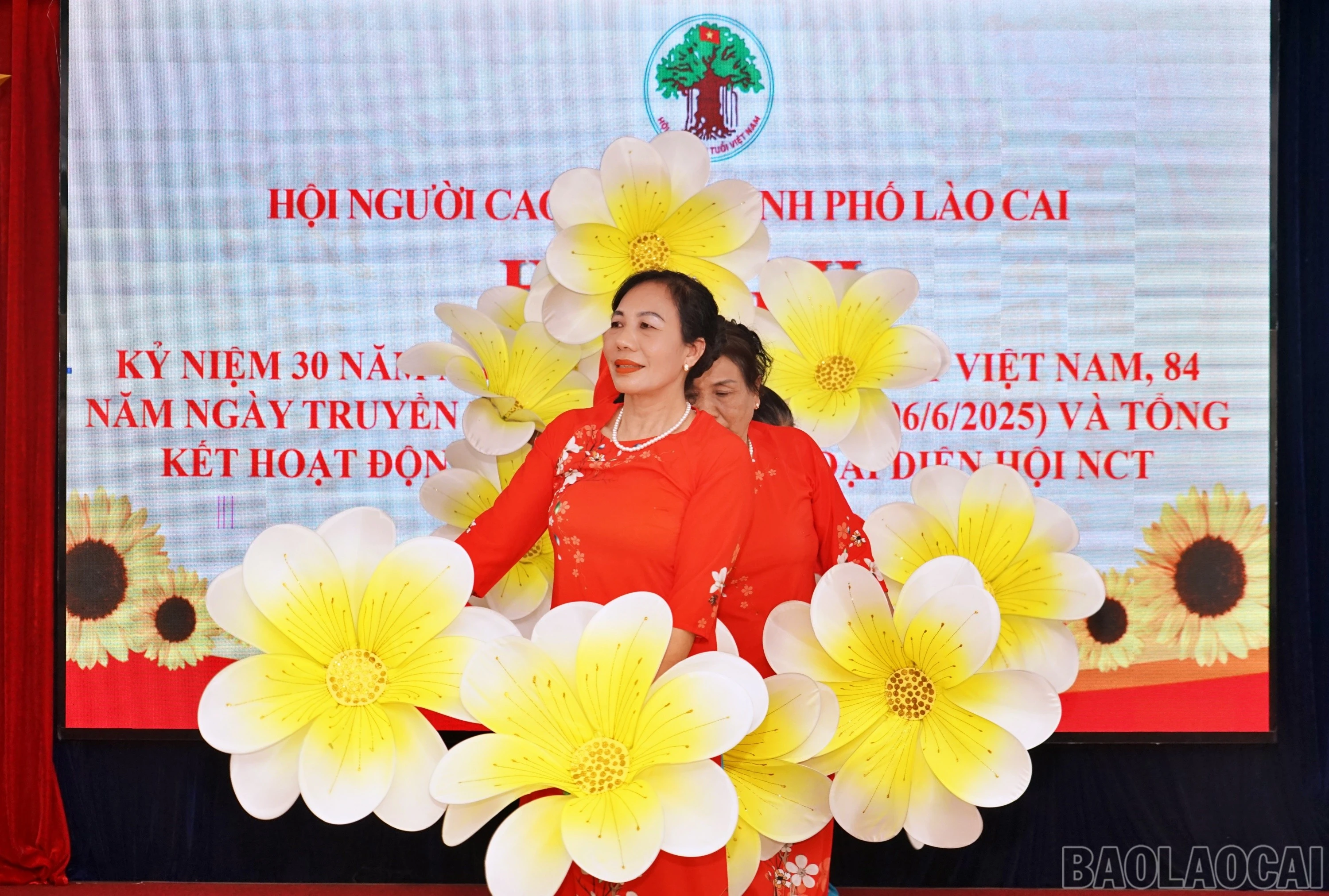baolaocai-br_nct93.jpg