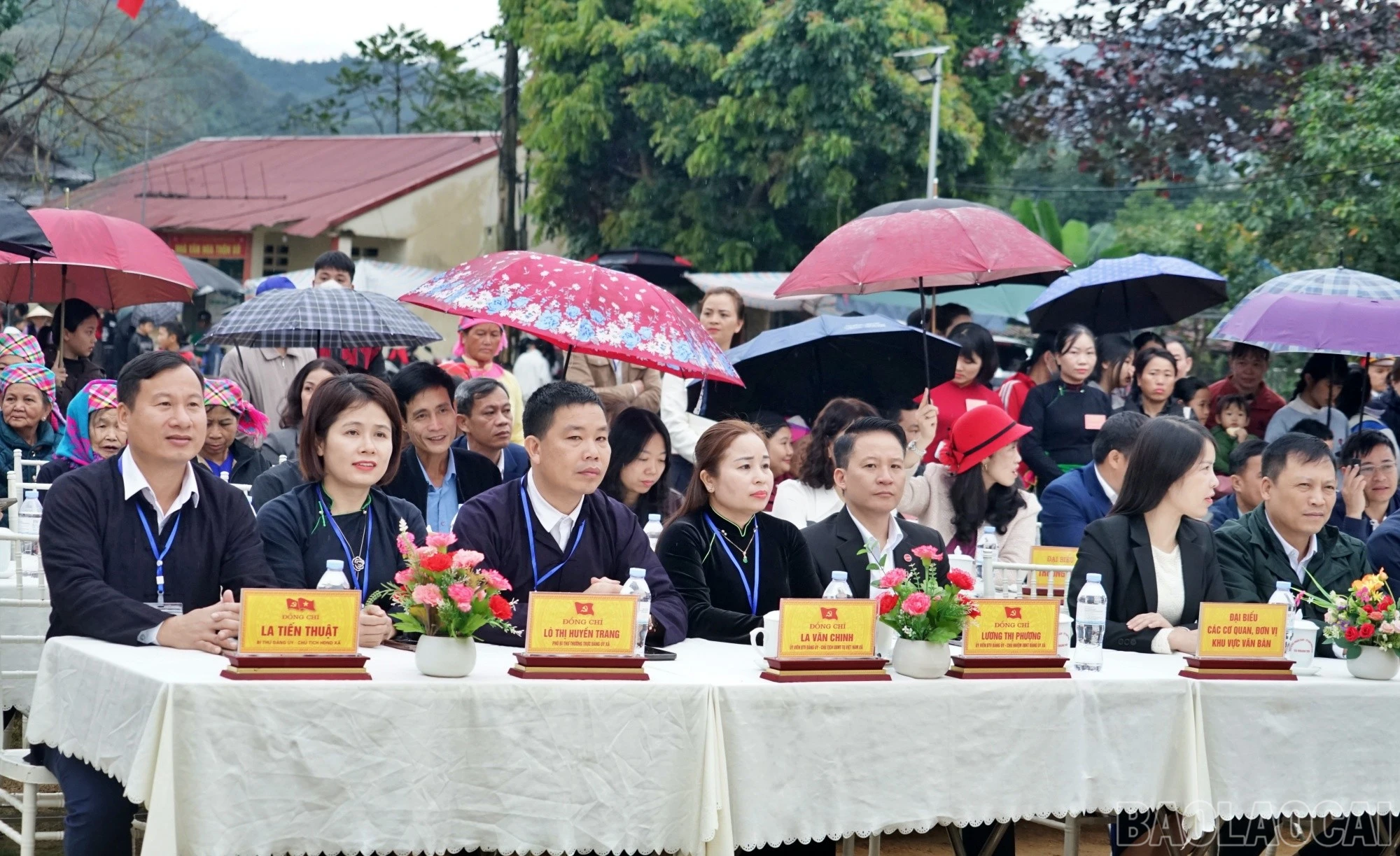baolaocai-br_trong2.jpg
