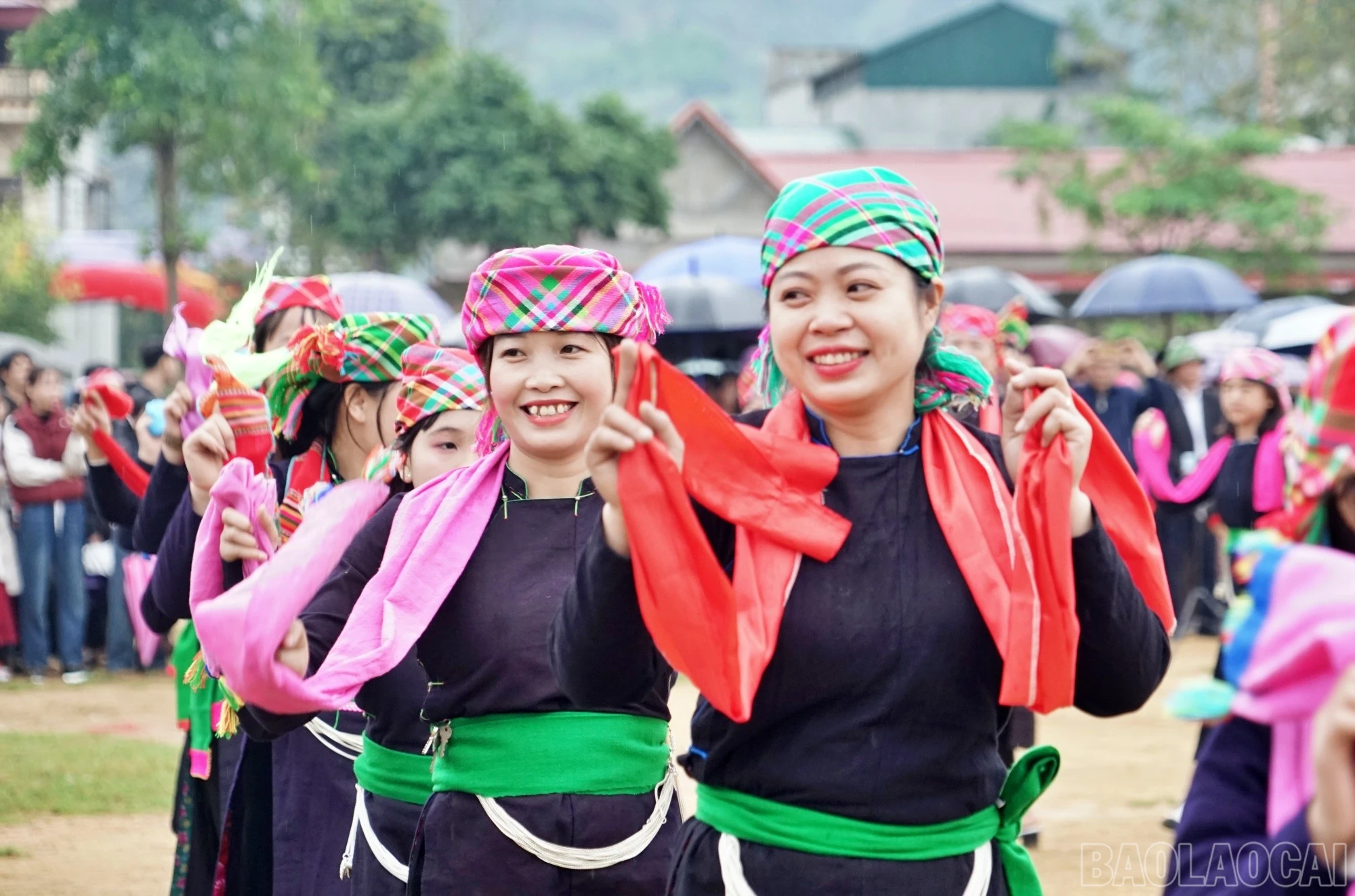 baolaocai-br_trong91.jpg