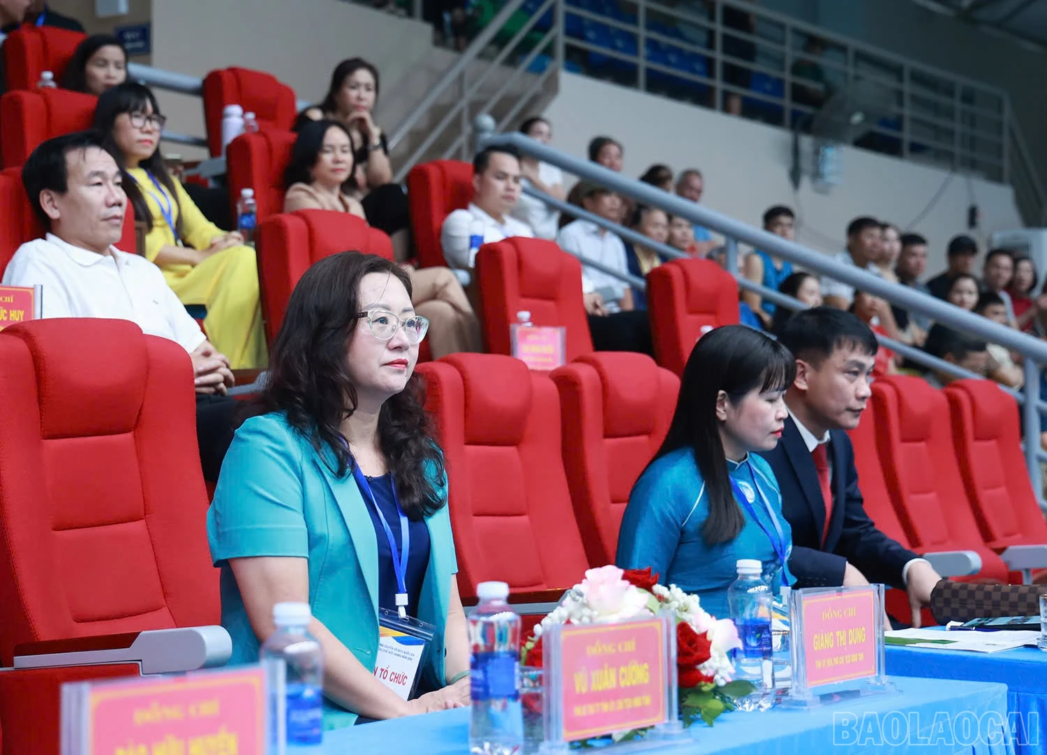 baolaocai-br_z6009849385126-f891fa598847c8d47853998351f059b3.jpg