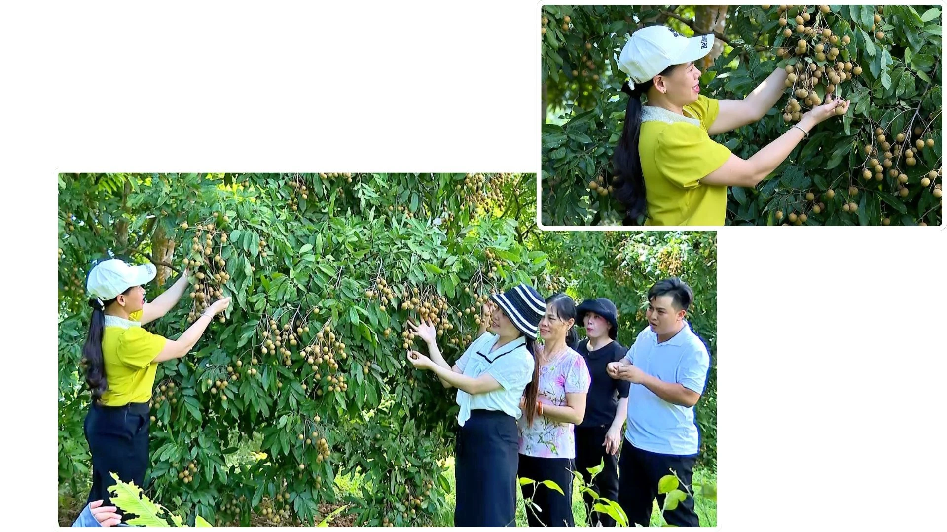 Nhiều mô hình phát triển kinh tế hiệu quả tại phường Trung tâm đem đến cuộc sống ấm no, hạnh phúc cho người dân.