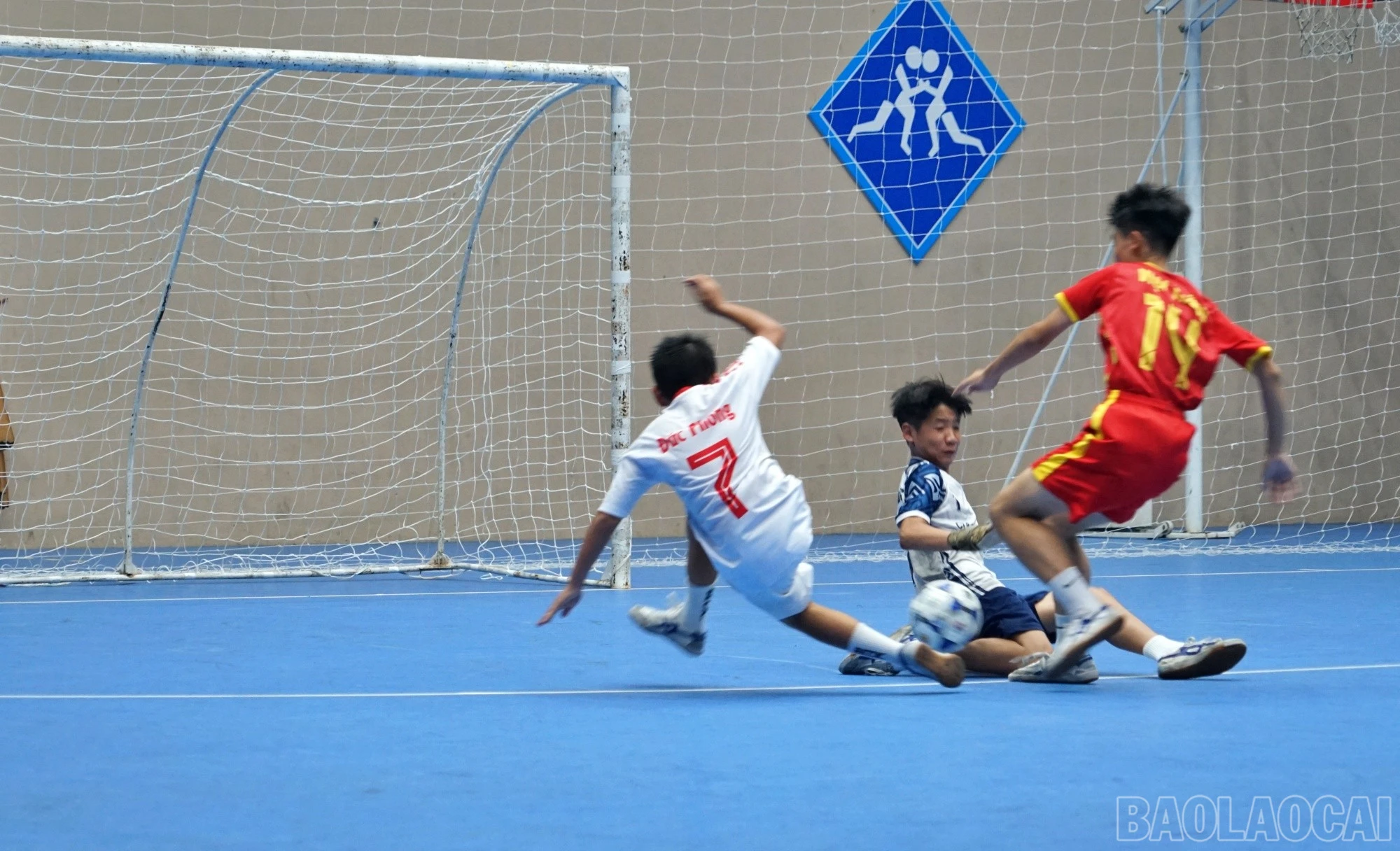 baolaocai-br_bd5.jpg
