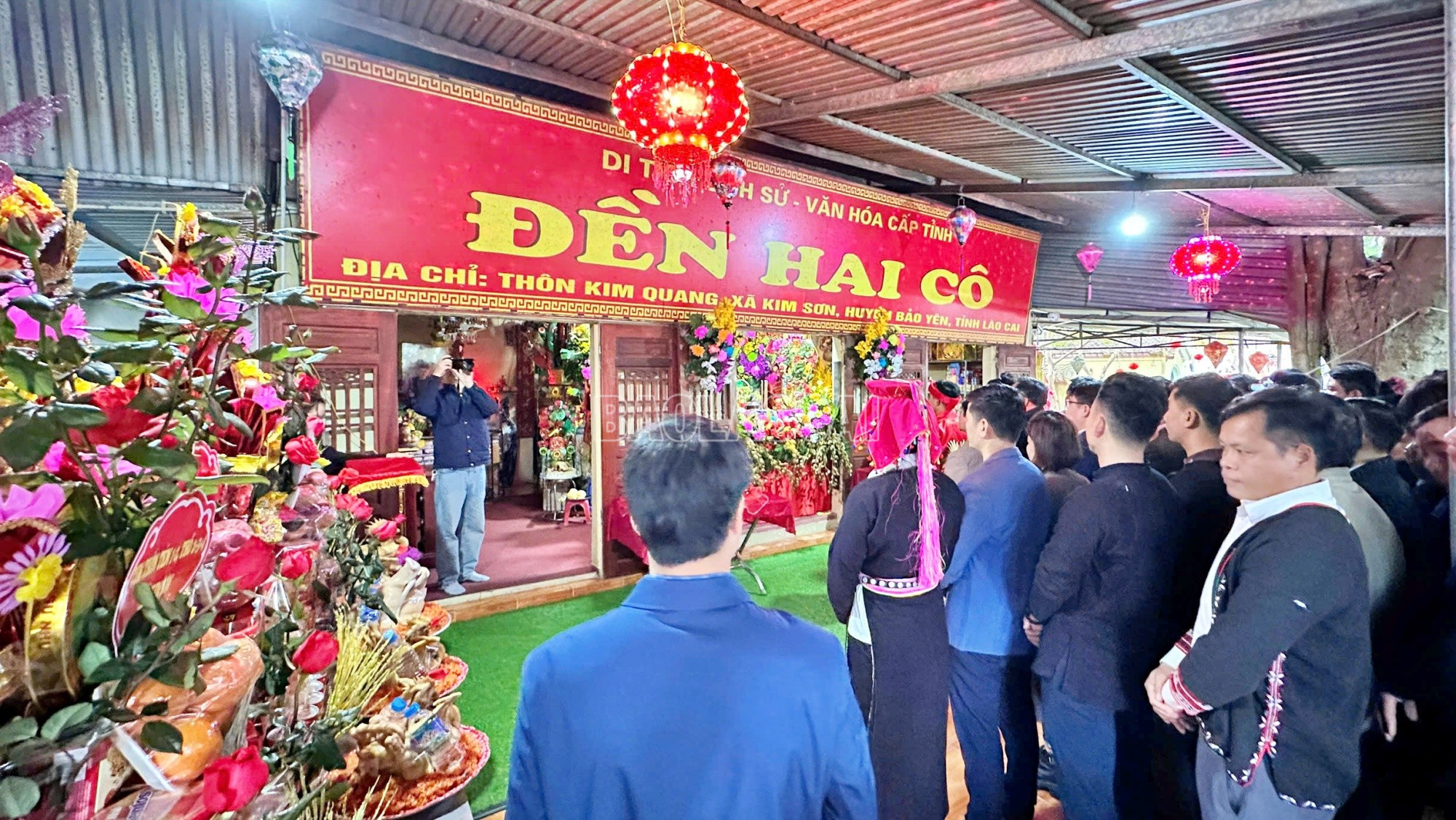 baolaocai-c_haico5.jpg