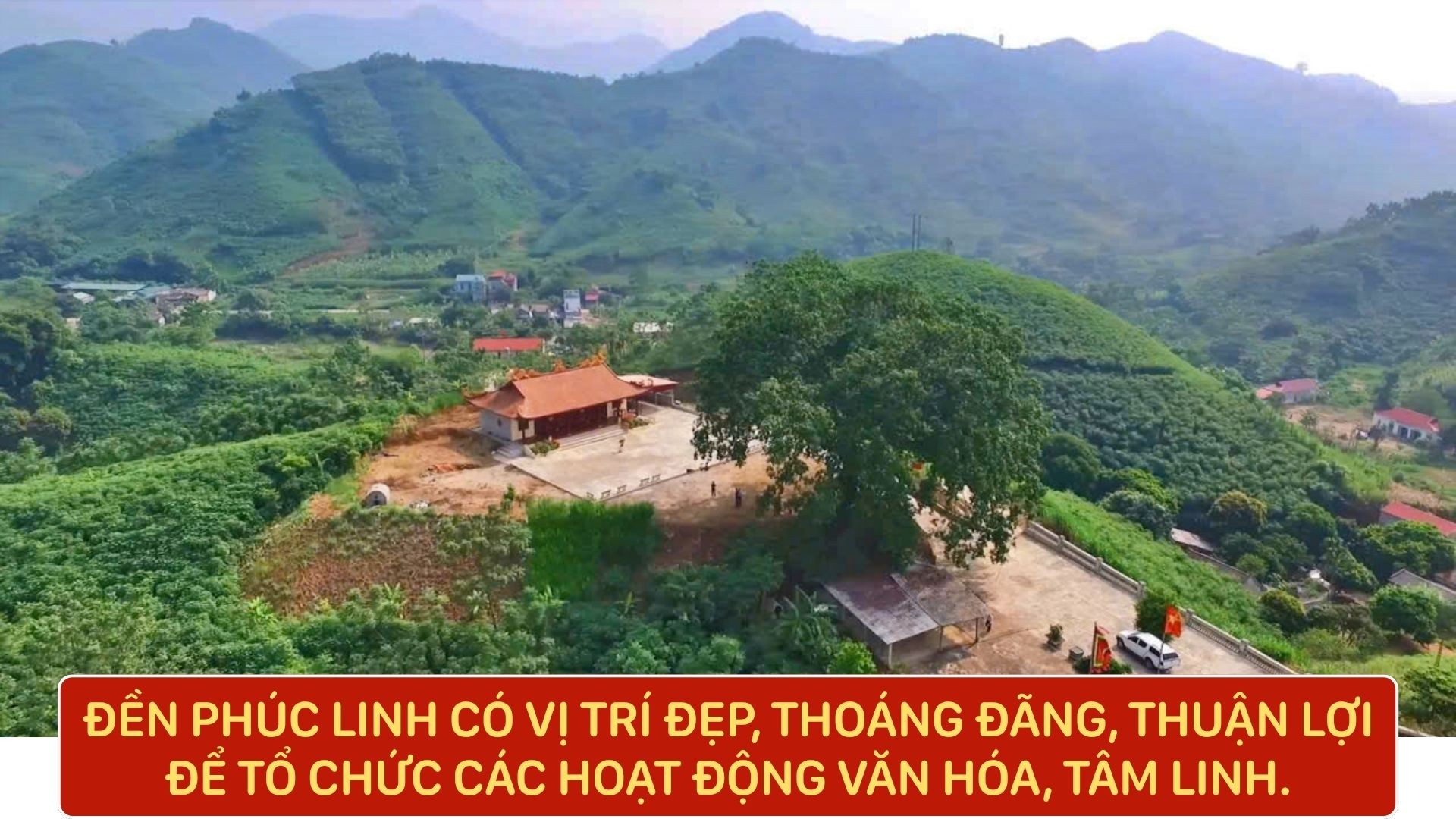 phuc-linh-3.jpg